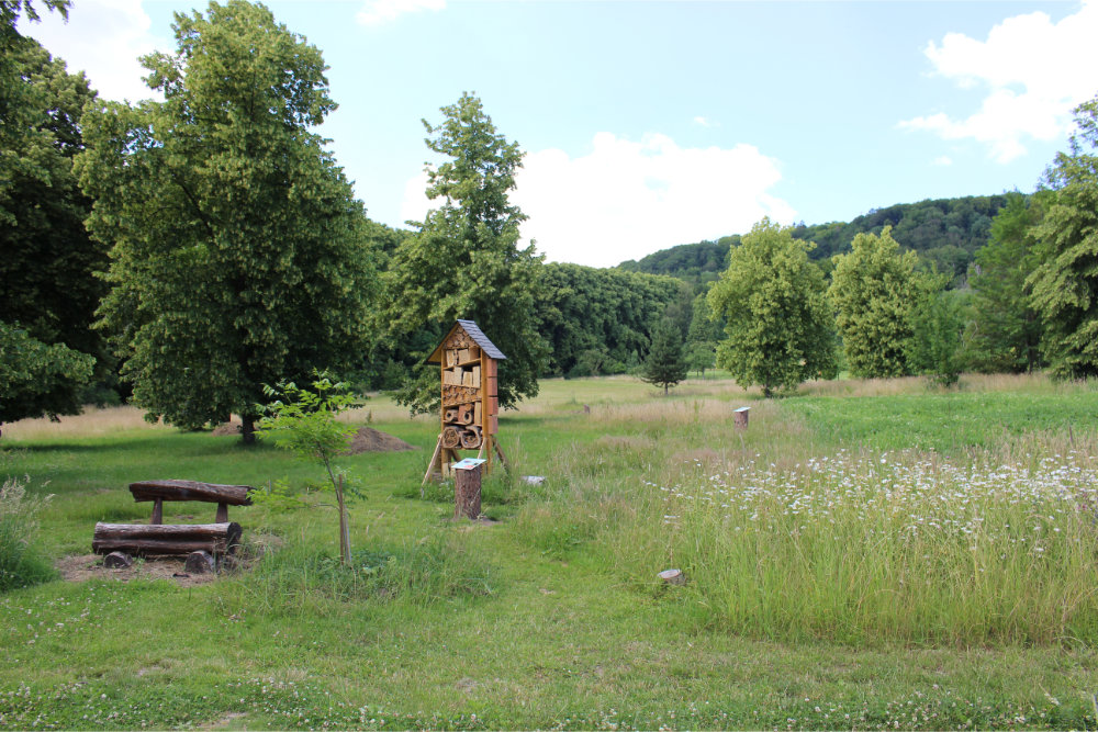 Der Hummelweg des NABU auf der Ackerbrache und auf der Blütenwiese; Copyright Michael Mäkler