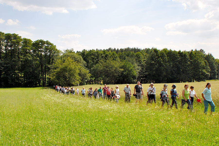 Dekoratives Bild Dekoratives Bild