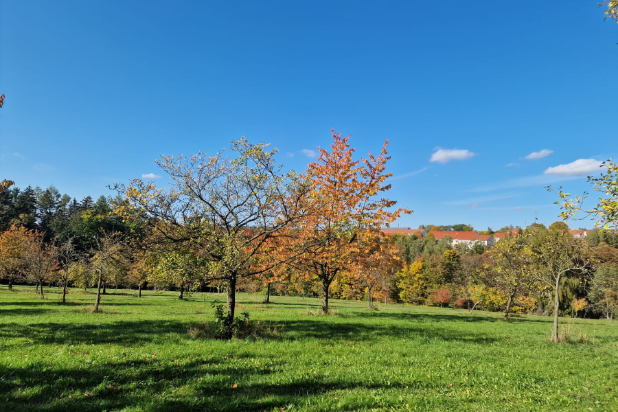 Dekoratives Bild Dekoratives Bild